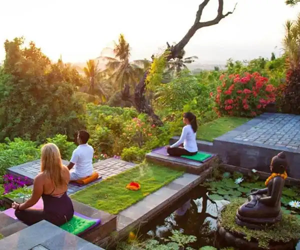 Yoga & Wellness Retreat in Goa Rishikul